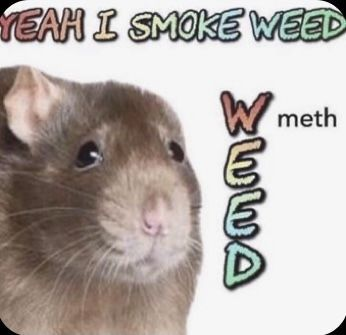 Yeah I smoke weed